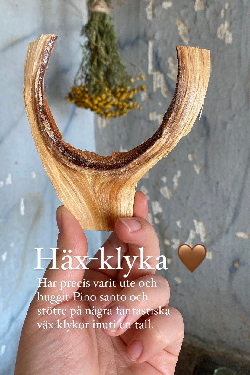 Häxklyka