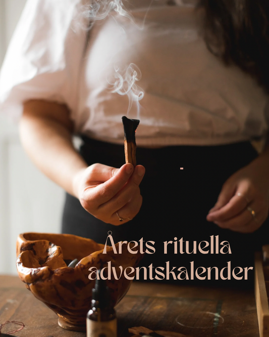 Pino santo's adventskalender 2026