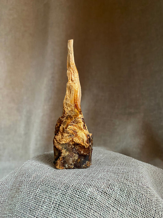 Unik skulptural Pino santo